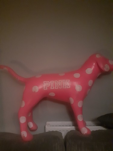 Victoria secret pink dog - victoria,
