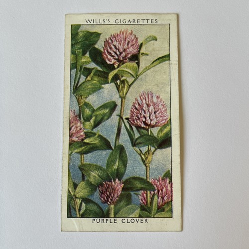 Will cigarette cards - cigarette, wild