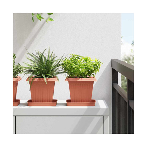 Plant pots brick - plant,