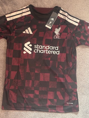 Liverpool third shirt - 26/27,