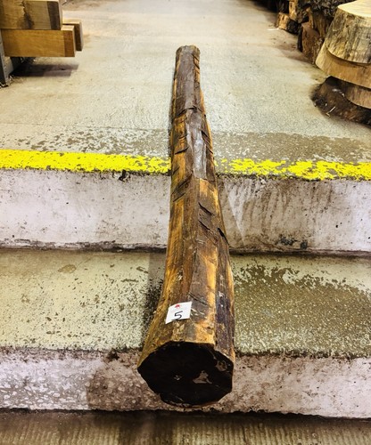 Snakewood aaa grade log - grade,