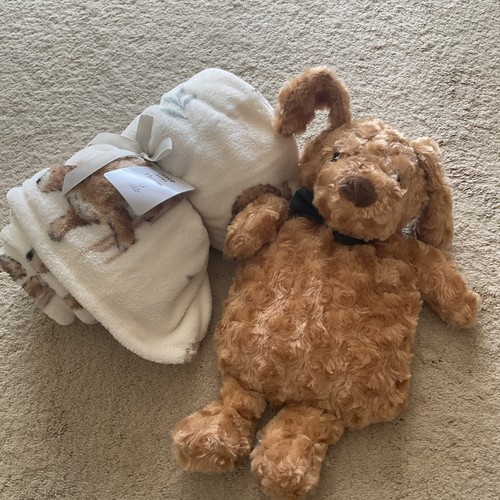 Cockerpoo throw and hot water - cockerpoo,