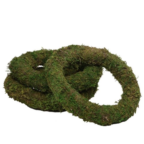 10inch 25cm real moss - 10inch, /