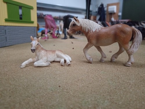 Schleich haflinger mare and - haflinger,