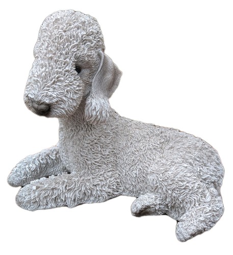 Vivid arts blue bedlington - ,