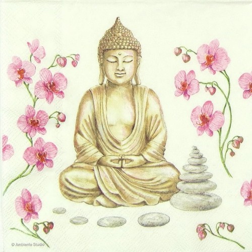 Single paper napkins for - 4x,