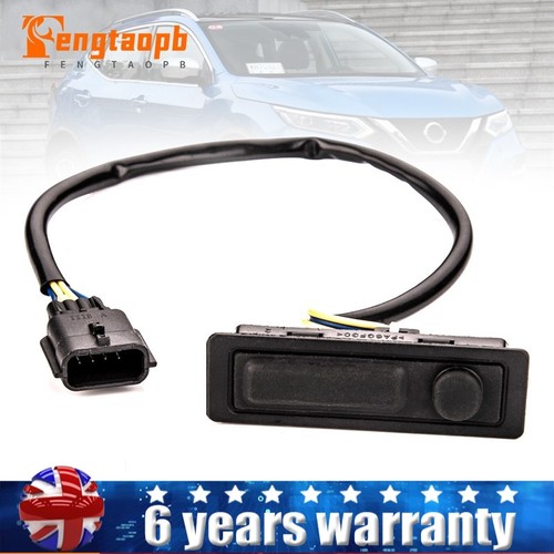 Tailgate rear door - rear,