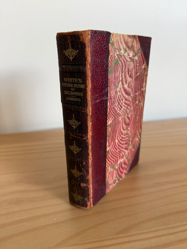 Natural history selborne - of,