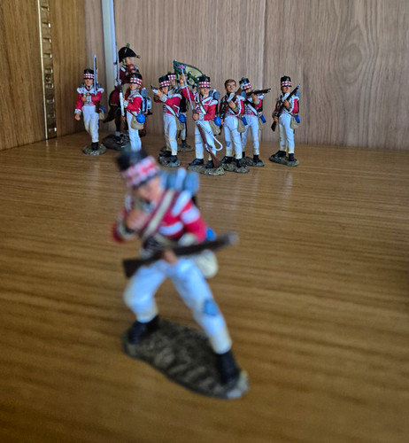 King country napoleonic - country, 71st