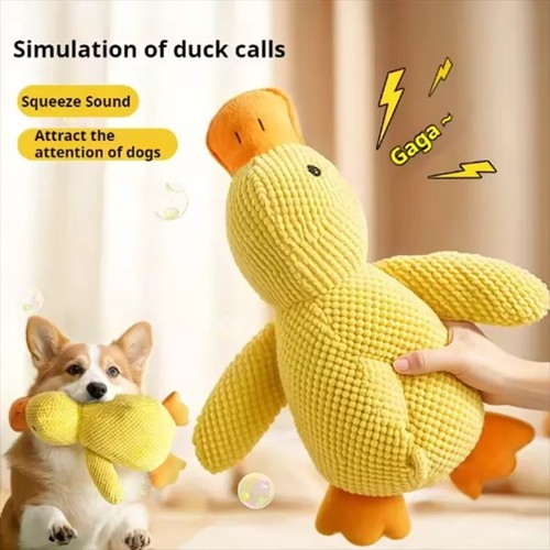 Pet dog chew - pet, duck
