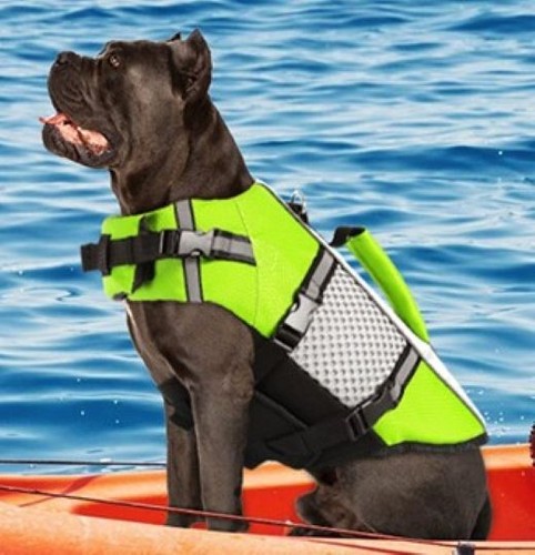 Life jacket small - jacket, dog