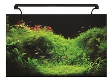 Aqua One AquaNano Aquariums