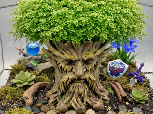 Reptile terrariums house - terrariums,