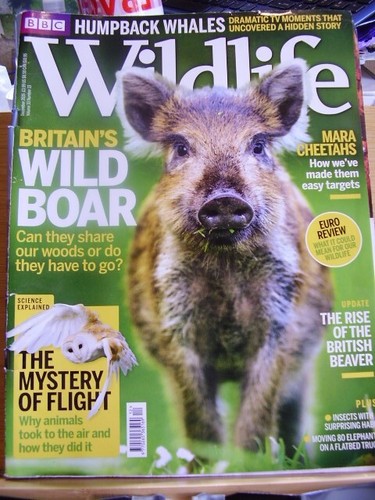 Bbc wildlife magazine december - bbc,
