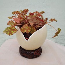 Super Unique Gift Idea