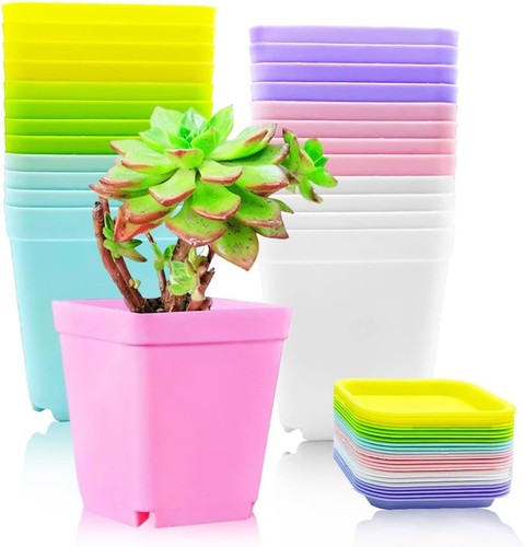 Haawooky pack colorful - pack,
