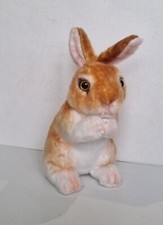 Cute Soft Furry Bunny Rabbit