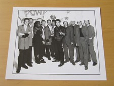 SHOWADDYWADDY / ALVIN STARDUST