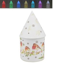 Winter robins led house - winter,