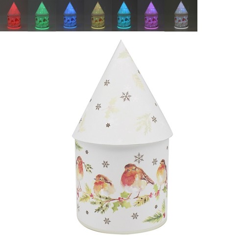 Winter robins led house - winter,