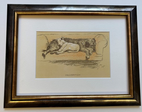 Probation framed print - probation, print*