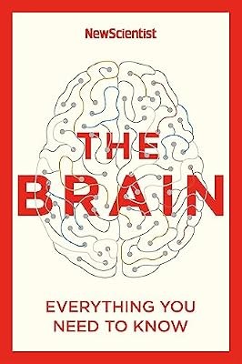 The brain everything you - brain:,
