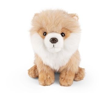 Pomeranian dog plush soft - pomeranian, toy