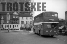 35mm Negative PMT Potteries