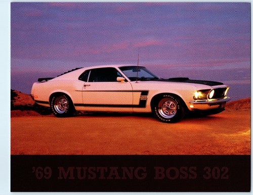 Ford mustang boss 302 - ford,