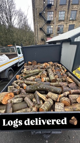 Unseasoned unprocessed logs - unprocessed,