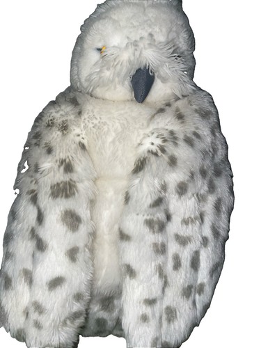 Harry potter owl from - owl,