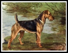 Airedale terrier dog art print - dog,