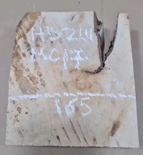 Spalted old hornbeam blank - spalted,