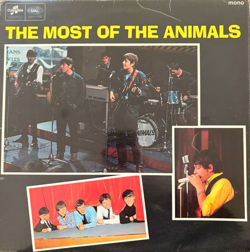 The animals most - ~,