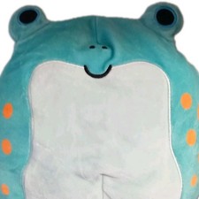 Delaney Frog Squishmallow