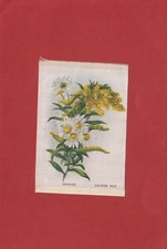 Imperial Tobacco of Canada