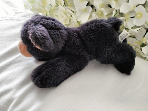 Retired russ bear oakley lay - bear,
