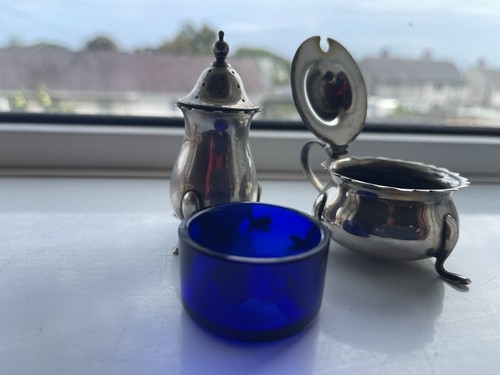 Silver plate mustard pot - mustard,