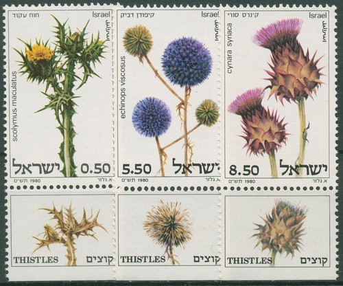 Israel 1980 plants thistles - 1980,
