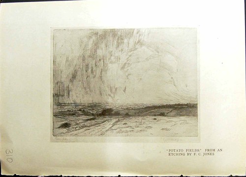 Old potato fields - old,