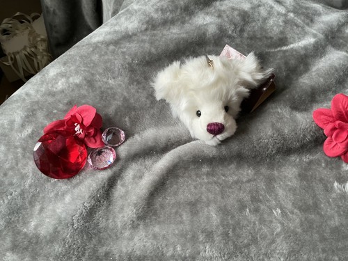 Charlie bears tiddly - charlie,