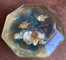 VINTAGE LUCITE PAPERWEIGHT MARINE SPECIMENS SHELLS FISH STARFISH SEAWEED