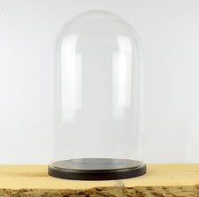 Glass Dome Black Wooden Base