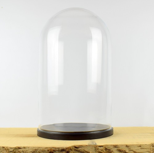 Glass dome black wooden base - glass,