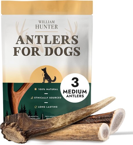 William hunter deer antlers - william,