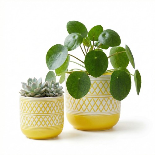 Decorative ceramic flower pots - ceramic,