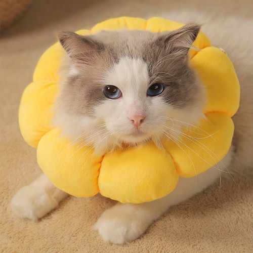 Soft cat collar neck - collar,
