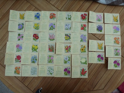 Wix kensitas silk flowers - kensitas,