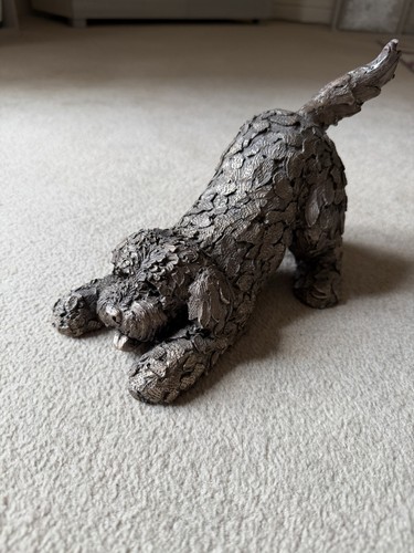 Barney the cockapoo dog - cockapoo,