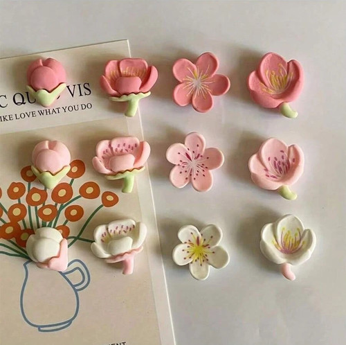 12pcs refrigerator magnets - 12pcs,